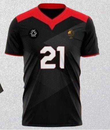 CH IC DS Diesta 2025